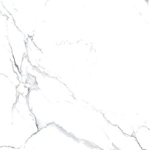 Staturio Nova Polished